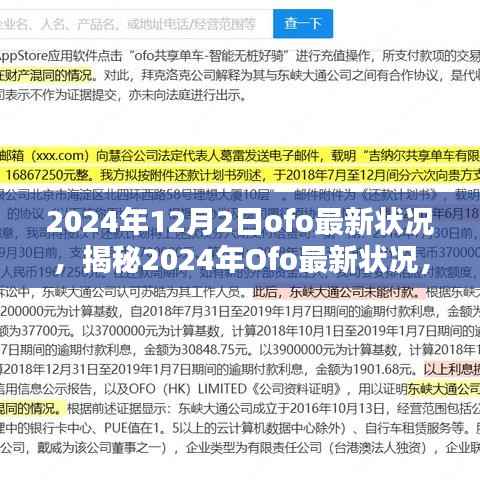 独家揭秘,Ofo共享单车巨头在2024年的最新状况与步骤指南