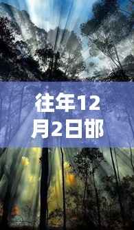 往年12月2日邯郸最新怡情，邯郸怡情，在冬日暖阳里寻找心灵的绿洲