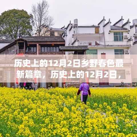 风驰电掣 第4页