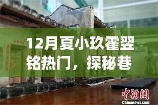 探秘巷弄深处的独特风味,夏小玖杂货铺与霍家小食馆——热门人物夏小玖与霍翌铭的故事