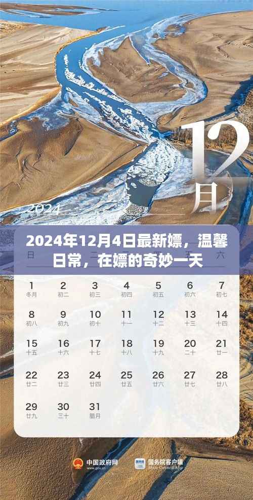温馨日常与奇妙一天,探索嫖的奇妙世界(2024年12月4日最新)