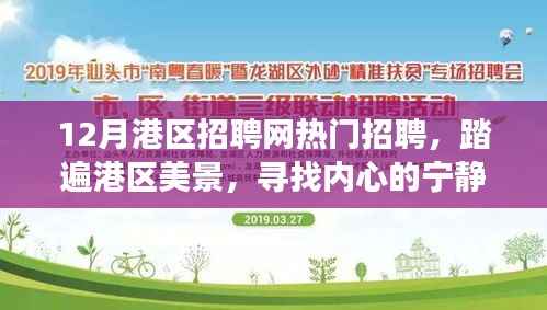 港区招聘网热门招聘启事,踏遍美景寻找内心港湾,开启自然之旅十二月招聘季