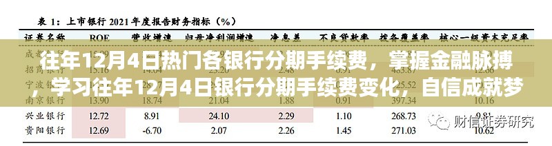 往年12月4日银行分期手续费概览,洞悉金融变化,助力梦想实现之旅