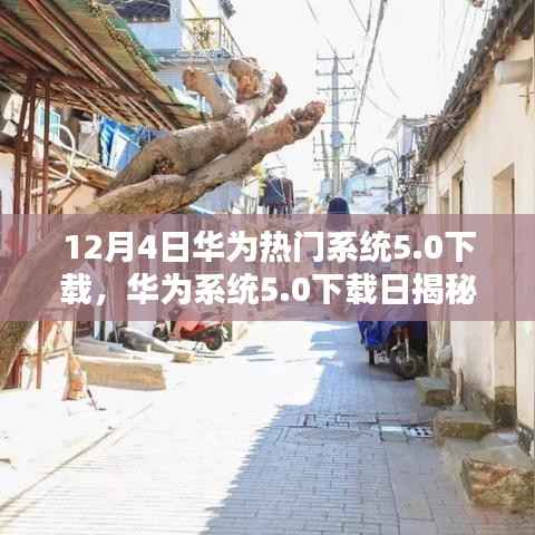 华为系统5.0下载揭秘日,小巷深处的独特小店探索