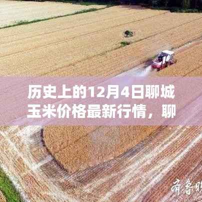 揭秘历史行情与影响,聊城玉米价格风云变幻的12月4日最新行情分析