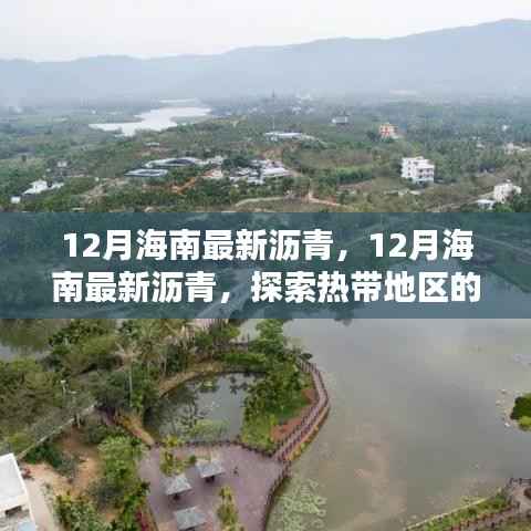 探索海南沥青之路,最新市场动态与热带地区沥青应用前景