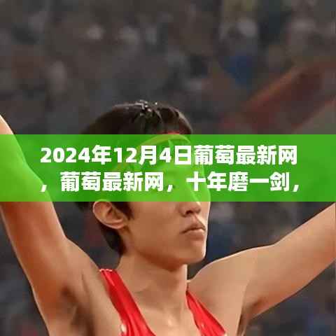 葡萄最新网十年磨一剑铸就行业巅峰之巅,2024年最新动态揭晓