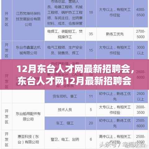 东台人才网12月招聘会,与自然美景相遇,寻找内心平和的职场之旅