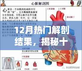 十二月热门解剖结果揭秘,医学奥秘探寻之旅的三大要点
