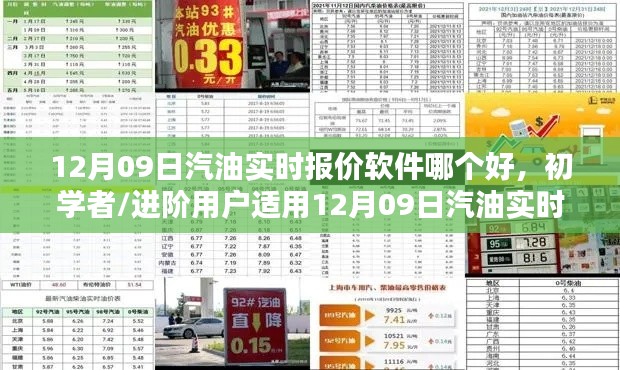 初学者与进阶用户适用的汽油实时报价软件选择与使用指南(12月09日版)