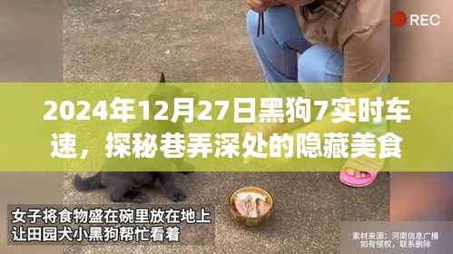 探秘巷弄深处美食,黑狗7车速奇妙小铺的隐藏菜单之旅