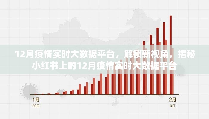小红书揭秘,12月疫情实时大数据平台全景视角展示