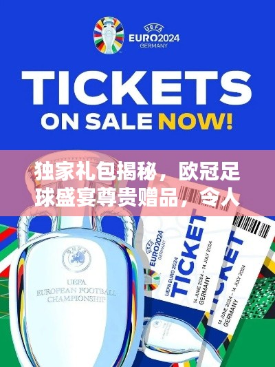 独家礼包揭秘,欧冠足球盛宴尊贵赠品,令人瞩目!