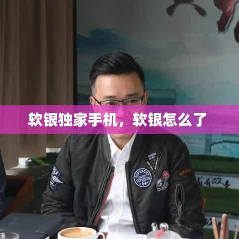 软银独家手机,软银怎么了