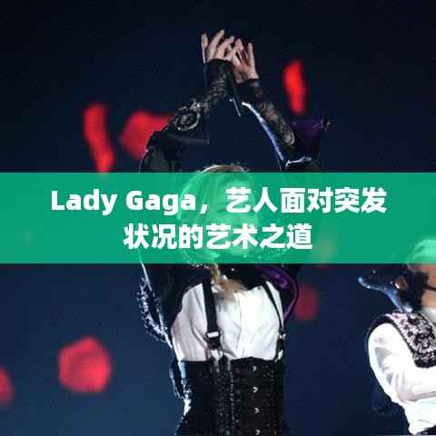 Lady Gaga,艺人面对突发状况的艺术之道