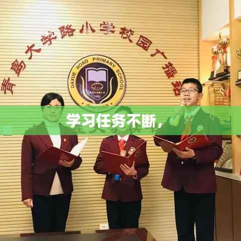 学习任务不断,