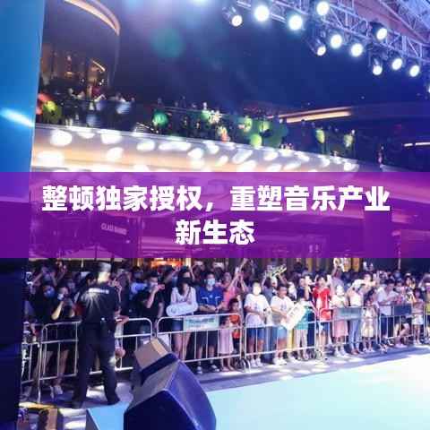 整顿独家授权,重塑音乐产业新生态