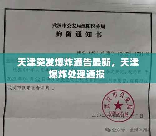 天津突发爆炸通告最新,天津爆炸处理通报