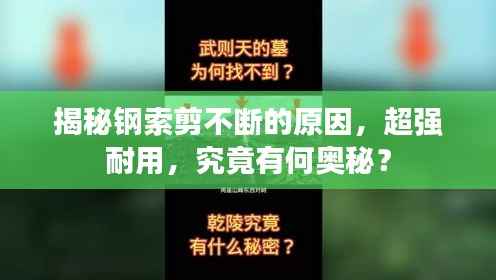 揭秘钢索剪不断的原因,超强耐用,究竟有何奥秘?
