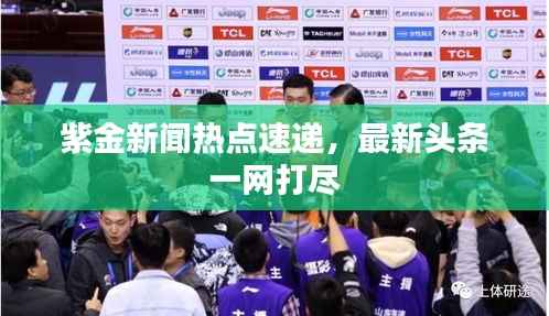 紫金新闻热点速递,最新头条一网打尽