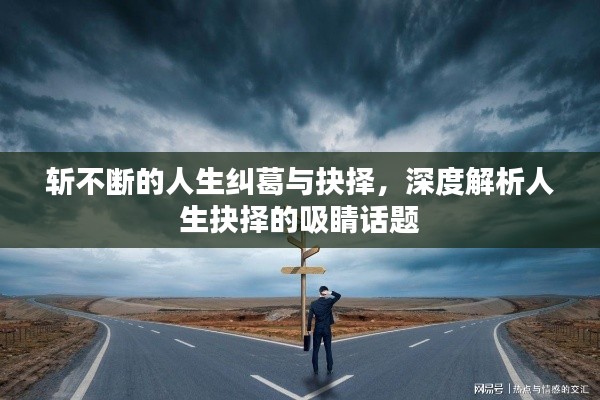 斩不断的人生纠葛与抉择,深度解析人生抉择的吸睛话题