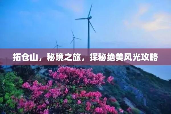 拓仓山,秘境之旅,探秘绝美风光攻略