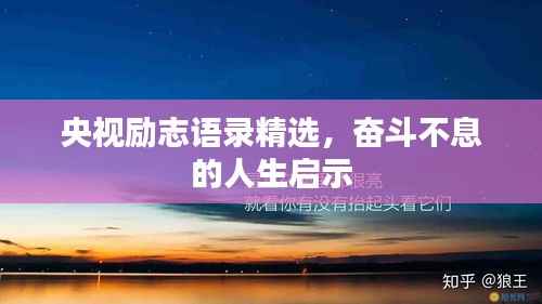 央视励志语录精选,奋斗不息的人生启示