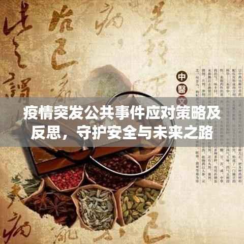 疫情突发公共事件应对策略及反思,守护安全与未来之路