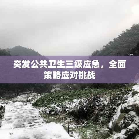突发公共卫生三级应急,全面策略应对挑战