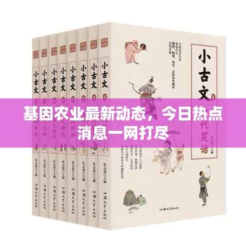 夫荣妻贵