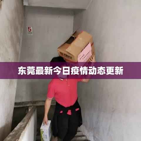 东莞最新今日疫情动态更新