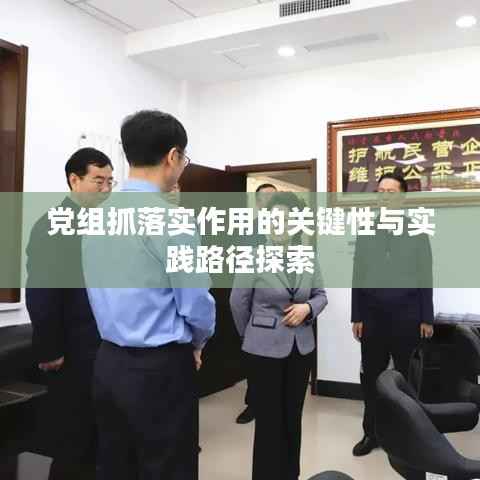 党组抓落实作用的关键性与实践路径探索
