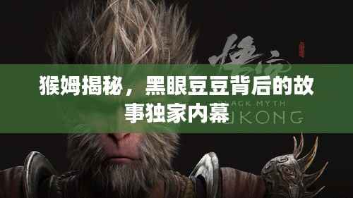 猴姆揭秘,黑眼豆豆背后的故事独家内幕