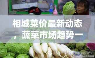 相城菜价最新动态,蔬菜市场趋势一览