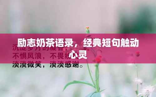 励志奶茶语录,经典短句触动心灵