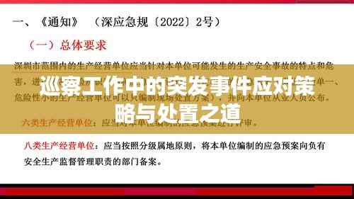 巡察工作中的突发事件应对策略与处置之道