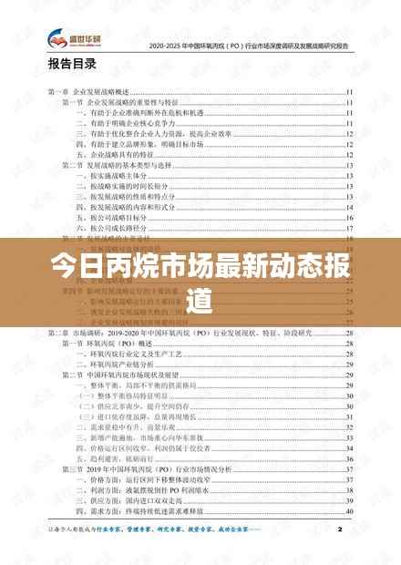 今日丙烷市场最新动态报道