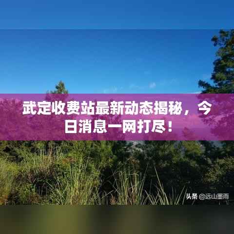 武定收费站最新动态揭秘,今日消息一网打尽!