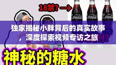 独家揭秘小胖背后的真实故事,深度探索视频专访之旅