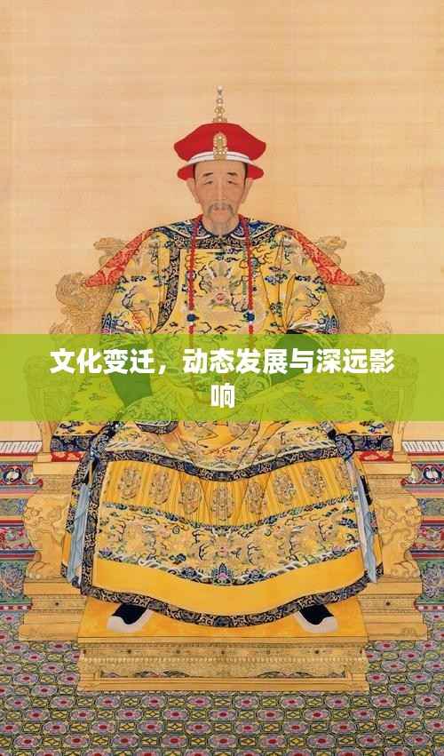 文化变迁,动态发展与深远影响