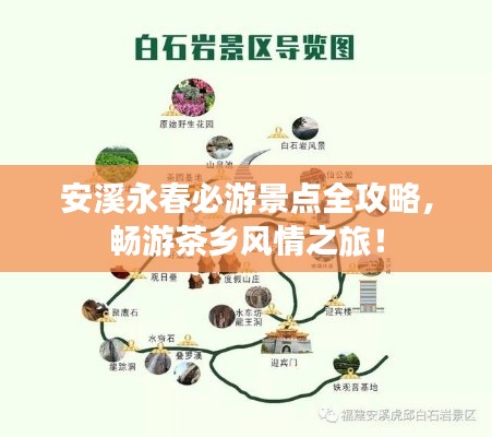 安溪永春必游景点全攻略,畅游茶乡风情之旅!
