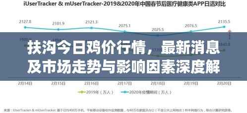 扶沟今日鸡价行情，最新消息及市场走势与影响因素深度解析