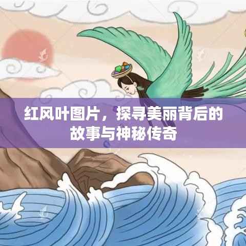 红风叶图片，探寻美丽背后的故事与神秘传奇